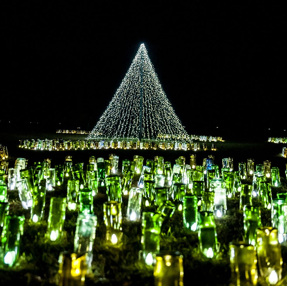 tarros de cristal con luces blancas en el interior frente a un alto triángulo de luces en forma de árbol