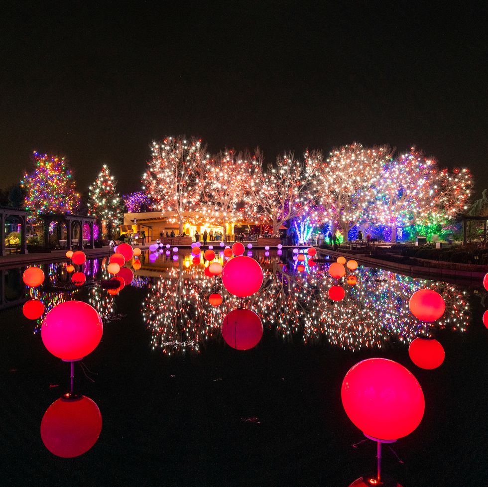 Globos rojos de luz sobre el agua frente a árboles iluminados con luces navideñas.