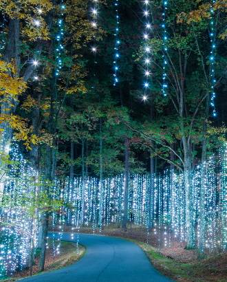Las mejores exhibiciones de luces navideñas en Pine Mountain, Georgia.