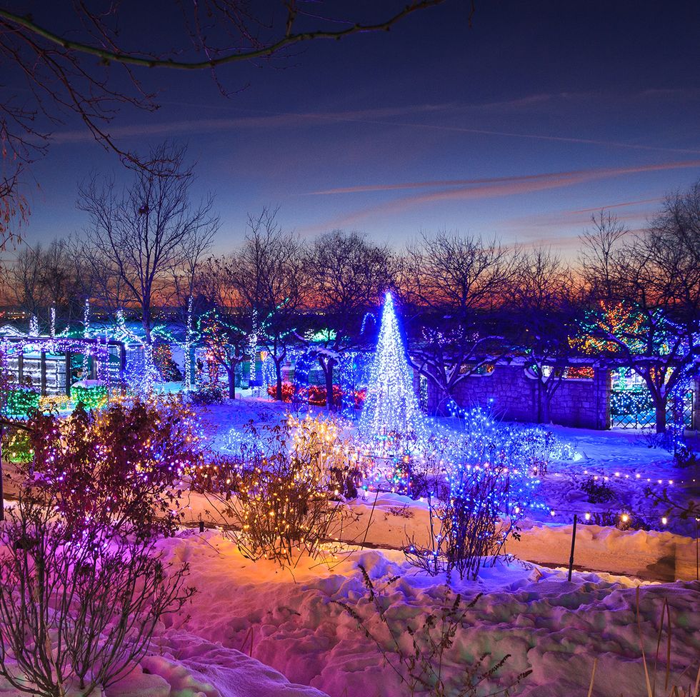 vista por drones de un alto árbol de Navidad con luces azules en filas verticales y otros árboles y edificios iluminados