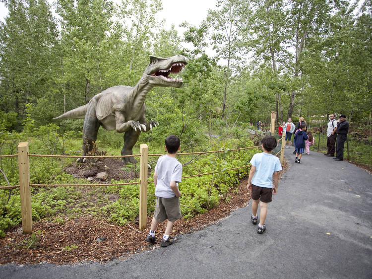 Estación de campo: Dinosaurios